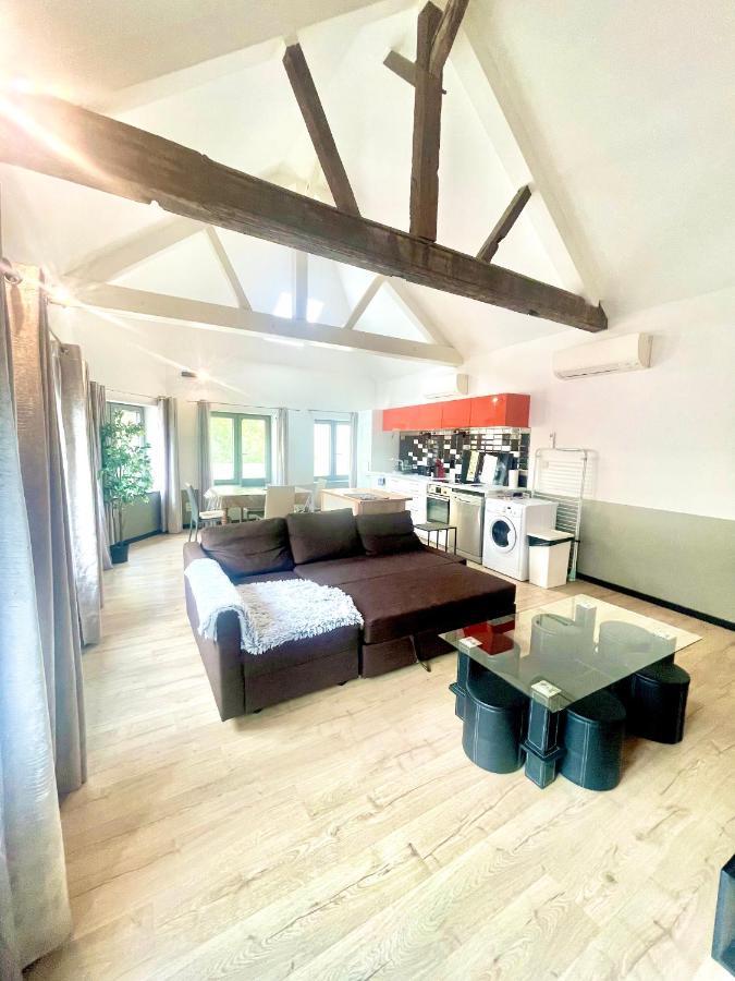 Appartements De Charme Dadou Mons Belgium Exterior photo
